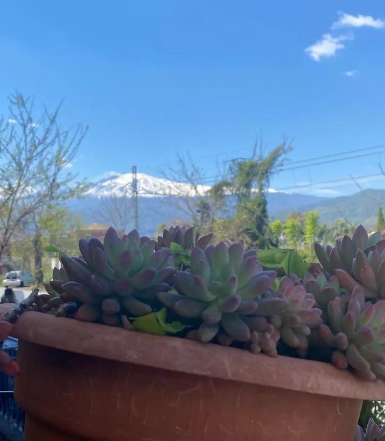 Casa Ariadne جيارديني ناكسوس شقة